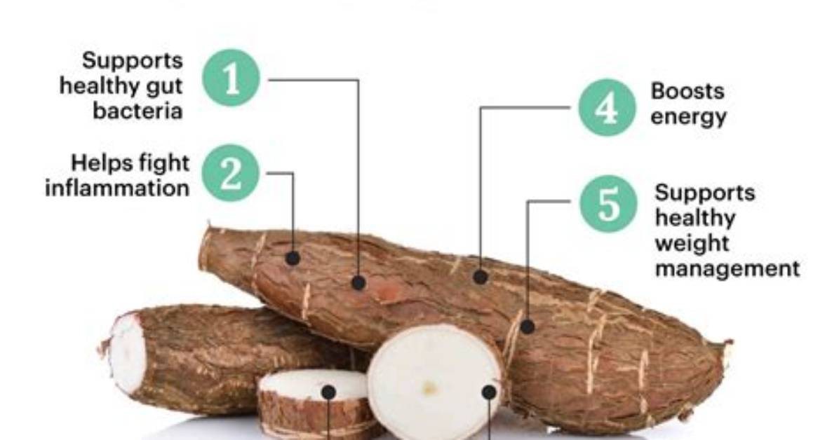Are Cassava Good for You?