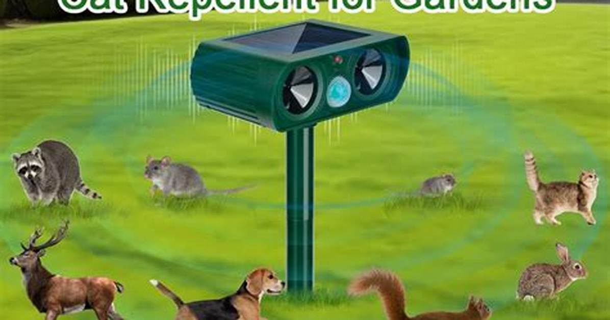 Are Cat Scarers Any Good?