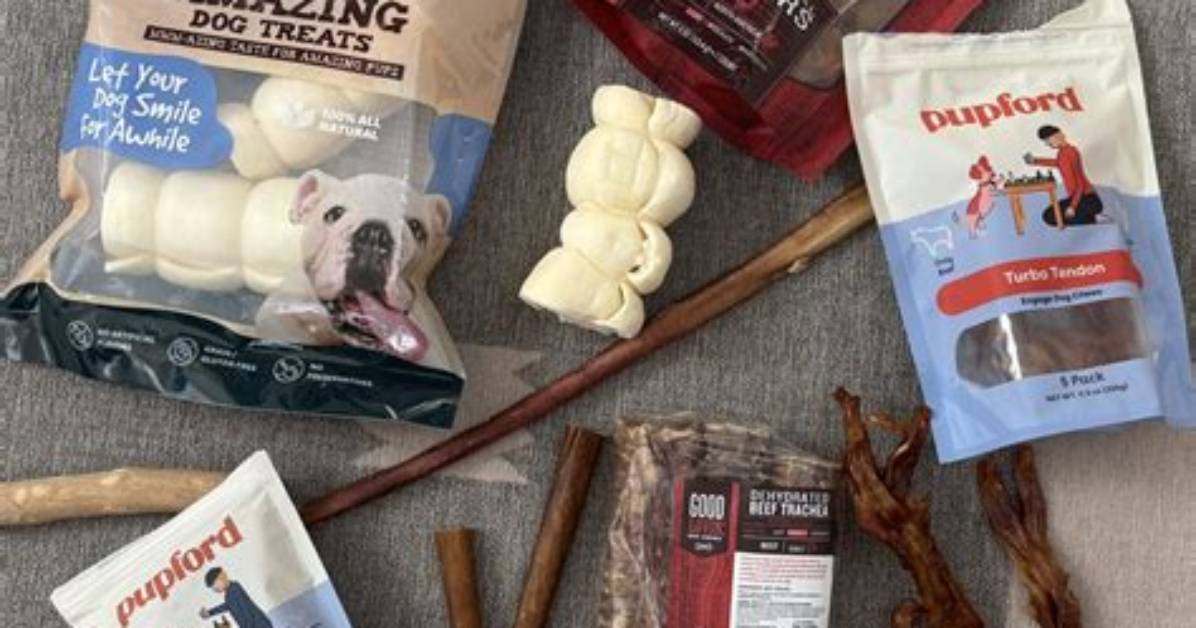 Are Chew Bones Safe for Dogs?