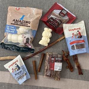 Are Chew Bones Safe for Dogs?