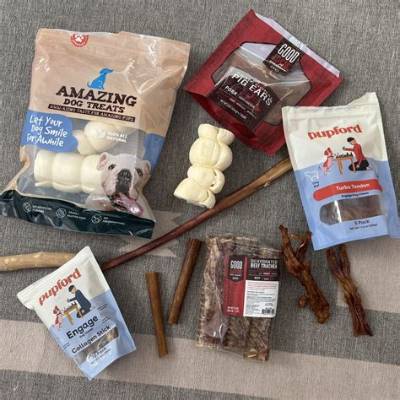 Are Chew Bones Safe for Dogs?