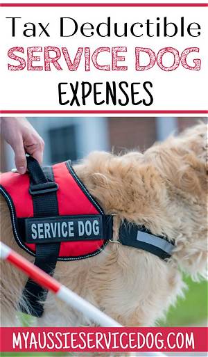 Are Dogs Tax Deductible?