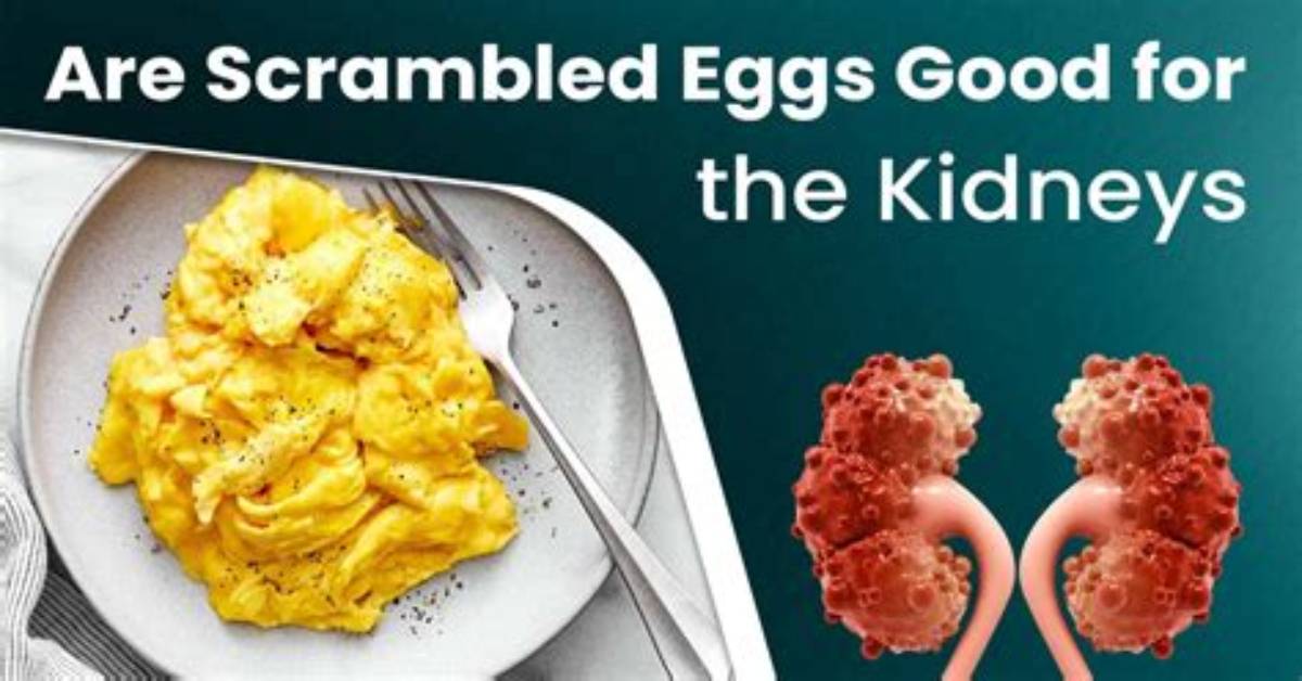 Are Eggs Good for Kidneys?