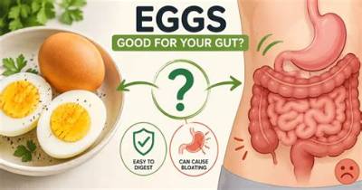 Are Eggs Good for Leaky Gut?