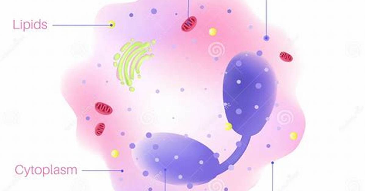 Are Eosinophils White