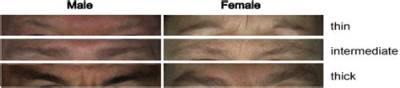 Are Eyebrows Genetic?