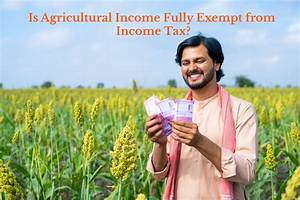 Are Farmers Exempt from Income Tax?