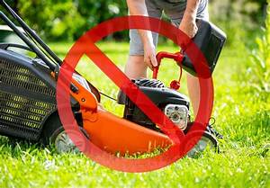 Are Gas Lawn Mowers Banned in California?