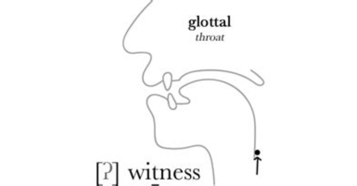 Are Glottal Stop Voiced?