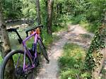 Are Gravel Bikes a Fad?