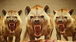 Are Hyenas Aggressive?