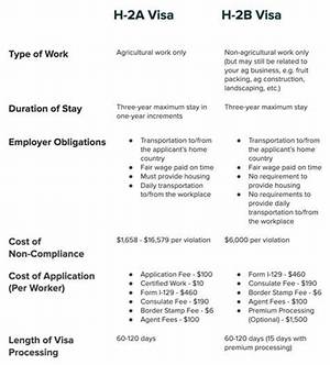 Are J-2 Visa Holders Allowed to Work?
