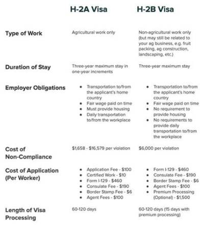 Are J-2 Visa Holders Allowed to Work?