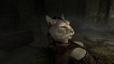 Are Khajiit Born in Litters?
