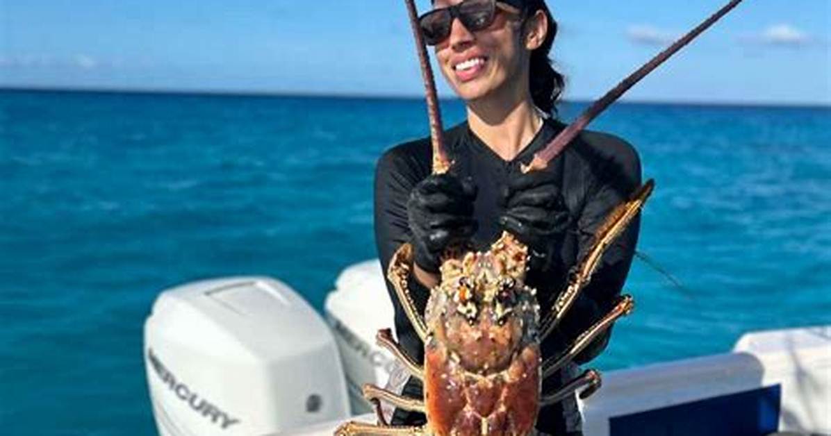 Are Lobster in Season?