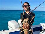 Are Lobster in Season?