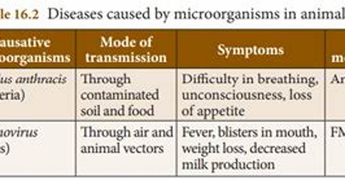 Are Most Diseases Caused by Animals?