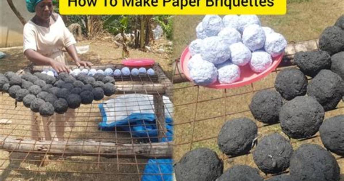 Are Paper Briquettes Any Good?