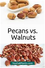 Are Pecans Fattening?