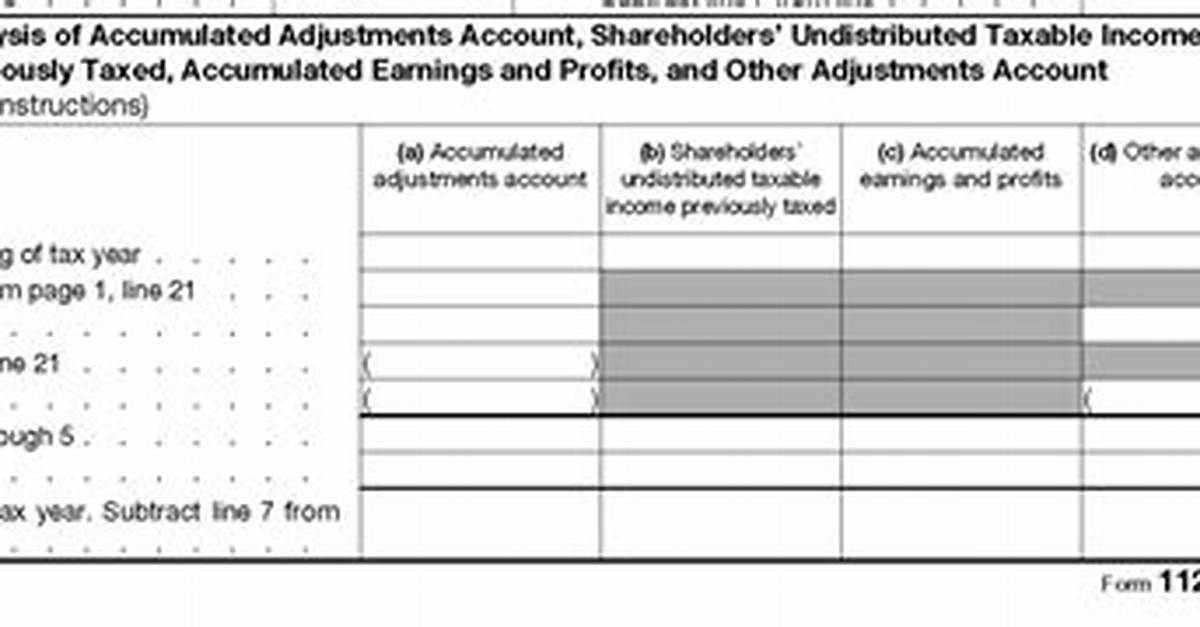 Are Ppp Loans Reported on 1120S?