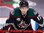 Are Rem and Tyler Pitlick Related? Salary of Montreal Canadiens Player Explored