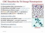 Are Reticulocytes Included in a Cbc?