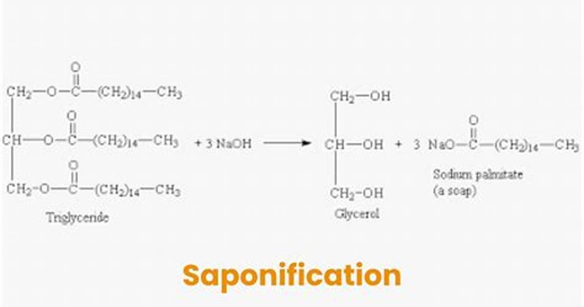 Are Saponification and Hydrolysis the Same Thing?