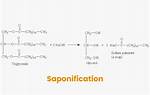 Are Saponification and Hydrolysis the Same Thing?