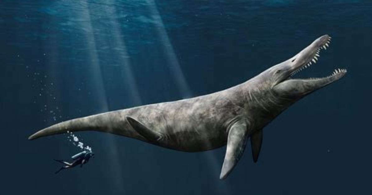 Are Sea Monsters Real?