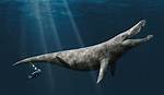 Are Sea Monsters Real?