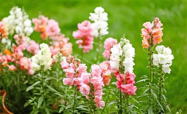 Are Snapdragons Deer Proof?