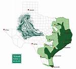 Are There Alligators in Texas?