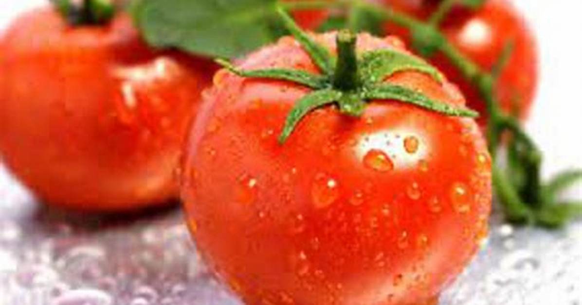 Are Tomatoes Good for Shingles?