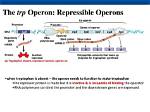 Are Trp Operon Inducible or Repressible?