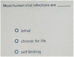 Are Viral Infections Self Limiting?