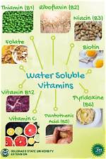 Are Vitamins Water Soluble?