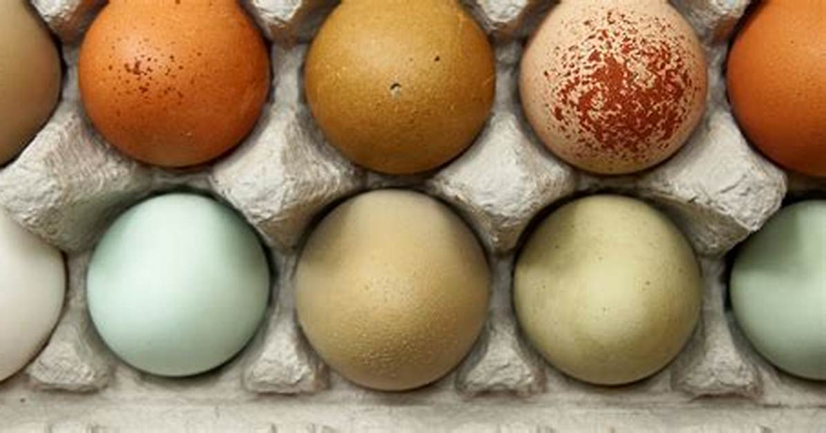 Are White Eggs Bleached?