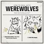 Are You a Werewolf?