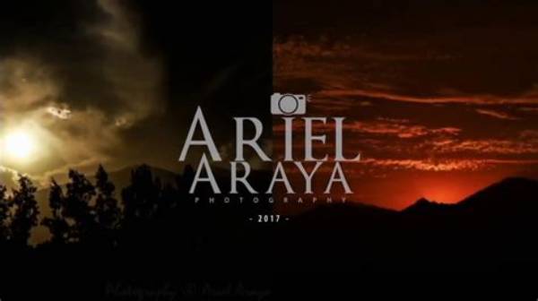 Ariel Asa Araya: the Rising Star Redefining Modern Music