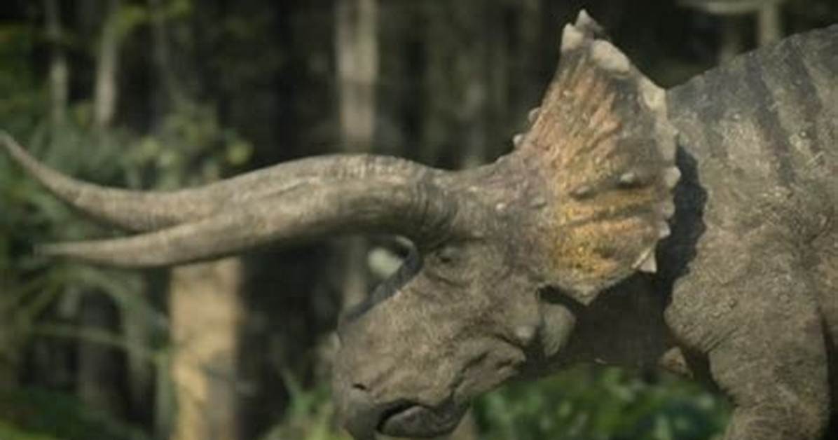 Astonishingly Massive Horns A