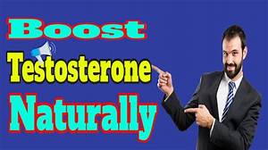 Astortheme: the Ultimate Guide to Elevating Your Website Design