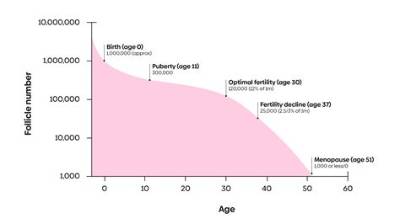 At What Age Does a Woman Become a Spinster?