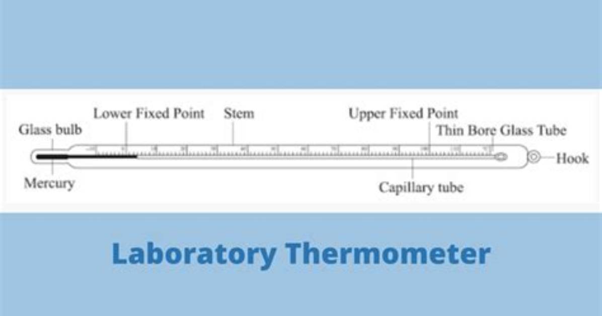 At What Temperature Does a Lab Need a Coat?