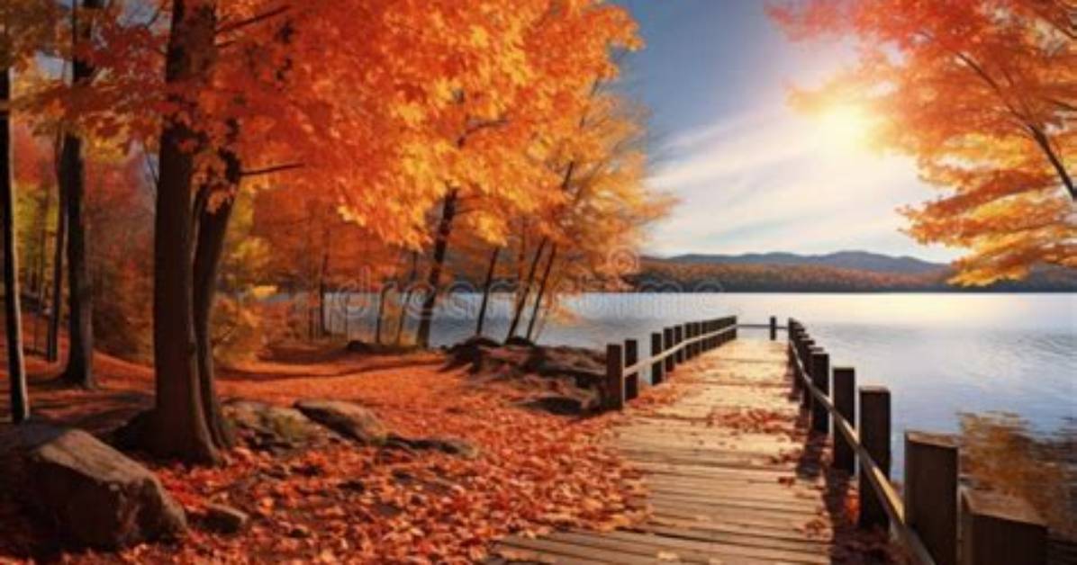 Autumn Splendor the Beauty of Autumn