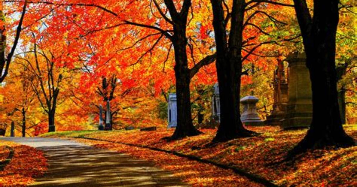 Autumn