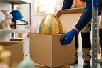 Avoid Easter Tragedies: Essential Safety Insights Revealed