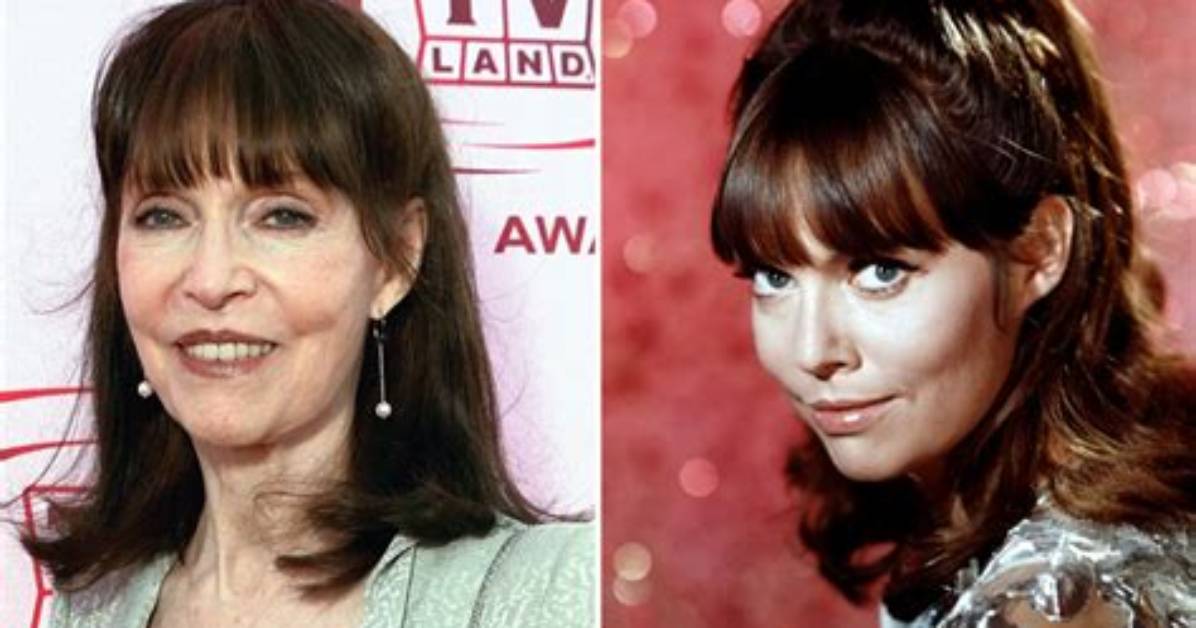 Barbara Feldon Today: a Look at Her Life Now