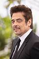 Benicio Del Toro: the Versatile Maestro of Cinema