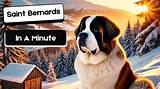 Bernard