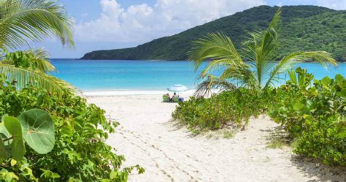 Best Beaches in Brianna Beach